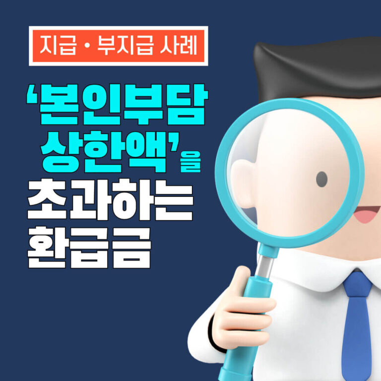 ‘본인부담상한액’을 초과하는 실손보험 환급금