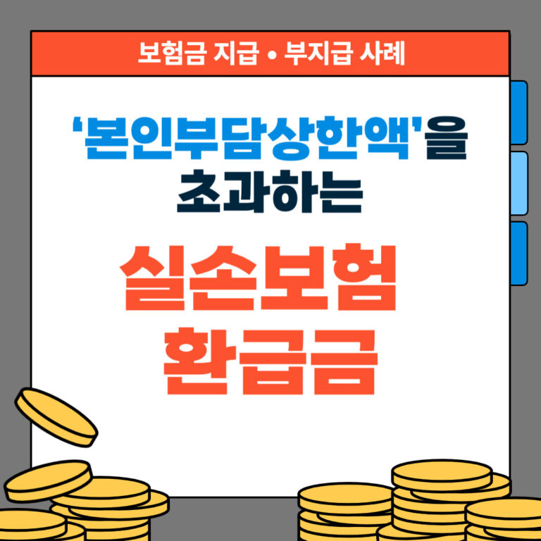 ‘본인부담상한액’을 초과하는 실손보험 환급금